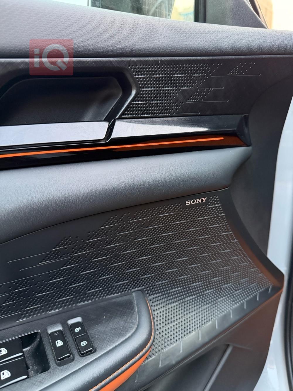 شانجان يوني في